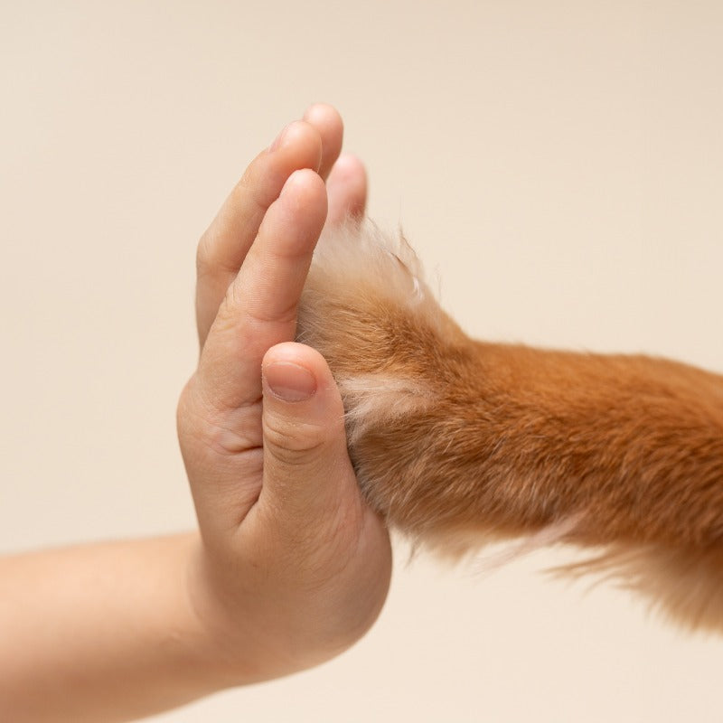 You＆Me有機精油空間噴霧